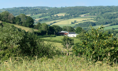 image of a white house in a rural valley with trees and grass in the foreground