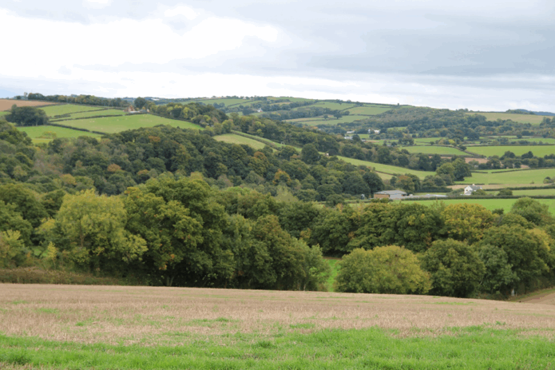 Devon Character Areas 69 Yeo Uplands and Slopes View south-west from lane north of Tedburn St. Mary of undulating hills and valleys. GPS Coordinates: 281556 95247. Rolling green hills with small-medium size fields, bounded by hedges and treelined hedges. Lots of broadleaf woodland and scattered buildings.