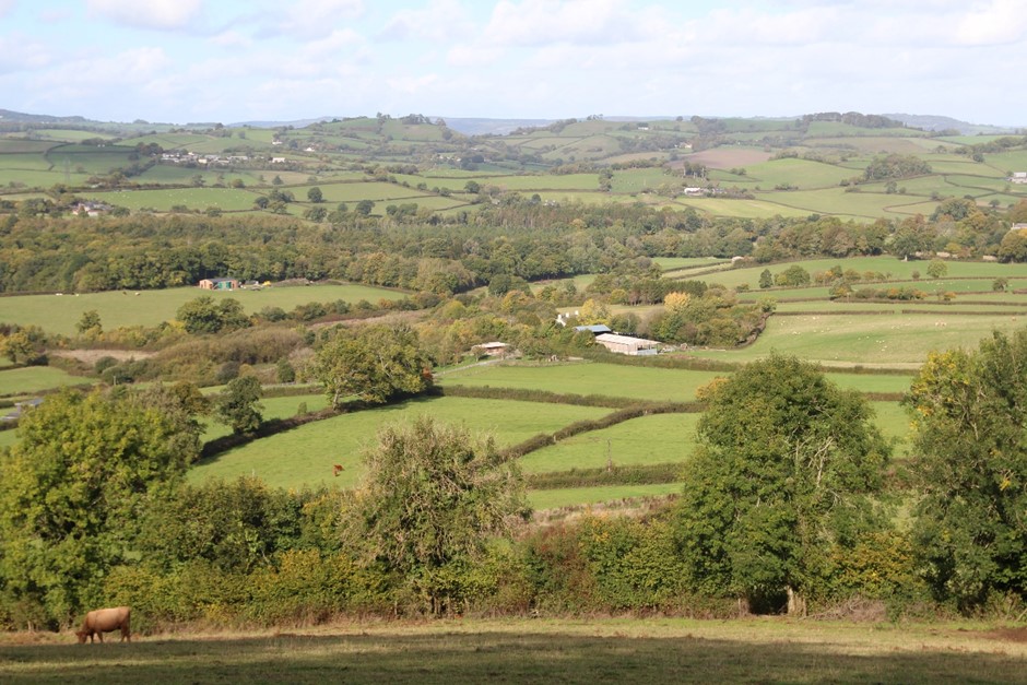 Devon Character Area 20 Denbury and Kerswell Farmlands. View north from Denbury Down Hillfort towards the rolling countryside GPS Coordinates 281702 68554