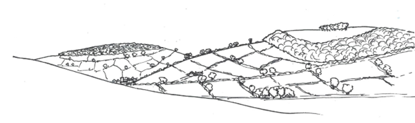 Simple black and white sketch of a countryside landscape.