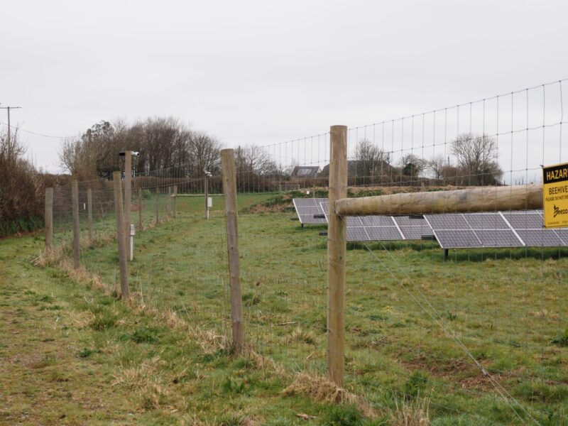 Solar panels in a field with a low fence around it and timber CCTV poles.