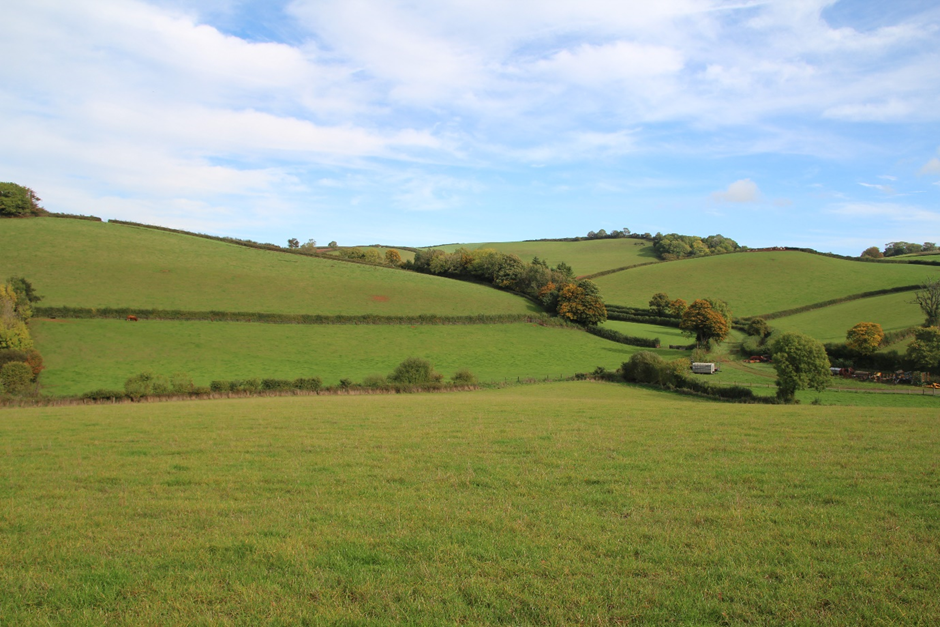 Devon Character Area 62 Torbay Hinterland - View east from field just south of Lower Weekaborough of rolling farmland, GPS Coordinates 284557 64263. View of rolling hills, with green grazing fields, bordered by hedges and some tree-lined hedges.