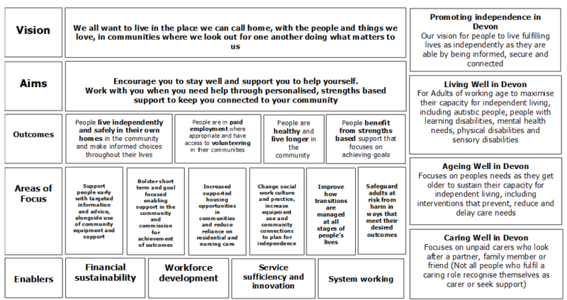 A summary of our vision and the aims, outcomes and priorities developed in our ‘Living Well in Devon’, ‘Ageing Well in Devon’ and ‘Caring Well in Devon’ strategies