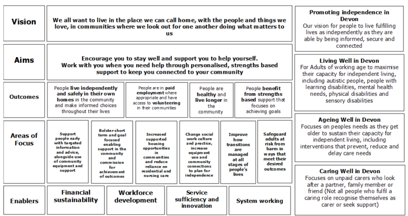 A summary of our vision and the aims, outcomes and priorities developed in our ‘Living Well in Devon’, ‘Ageing Well in Devon’ and ‘Caring Well in Devon’ strategies.