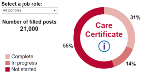 Pie chart of the care certificate for Devon. 31% completed, 14% started and 55% not started.