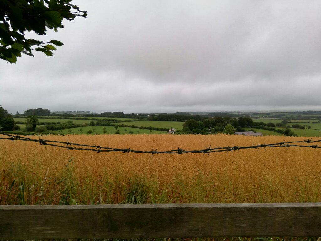 A field in the countryside with a line of barbed wire in the foreground. Photo by Emily Underworld on Unsplash