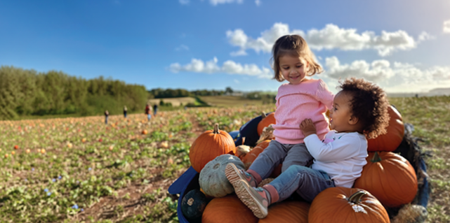 Two young children sitting on pumpkins in a field on a sunny day.
