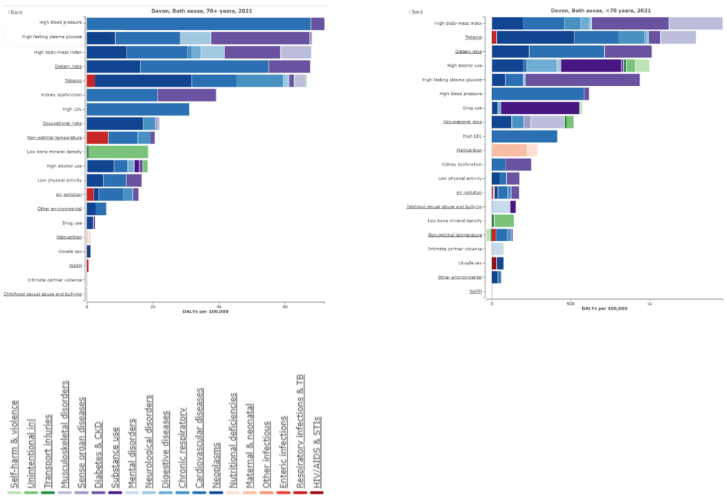 Chart showing leading risk factors contributing to disability adjusted life years for those aged 70+ and those aged under 70.