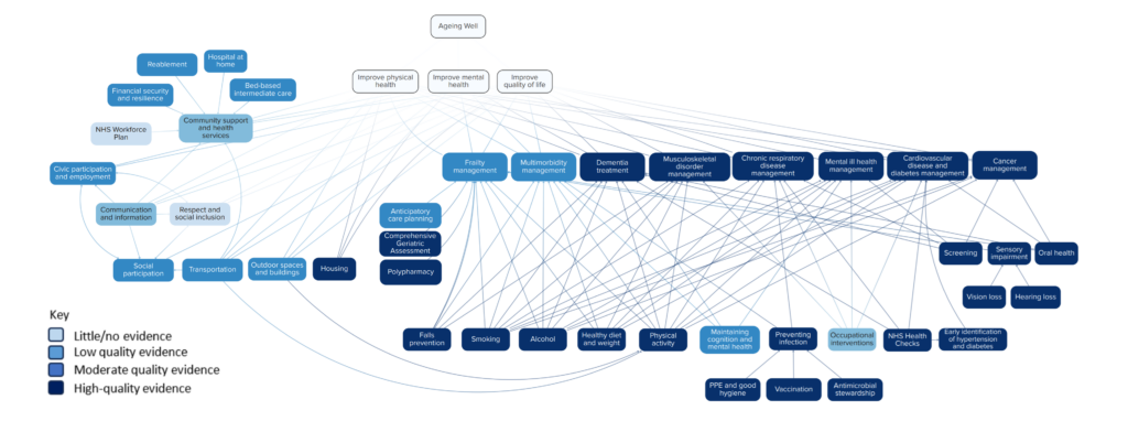 Version of theory of change system map showing the weight of available evidence. Most areas have a moderate to strong evidence base.