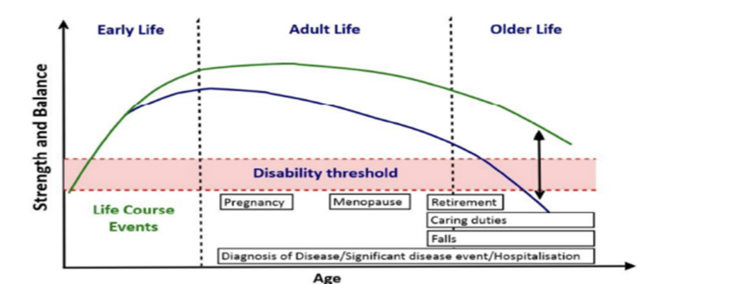 Chart showing the importance of maintaining strength and balance activities through adult life to reduce the likelihood of disability later in life.