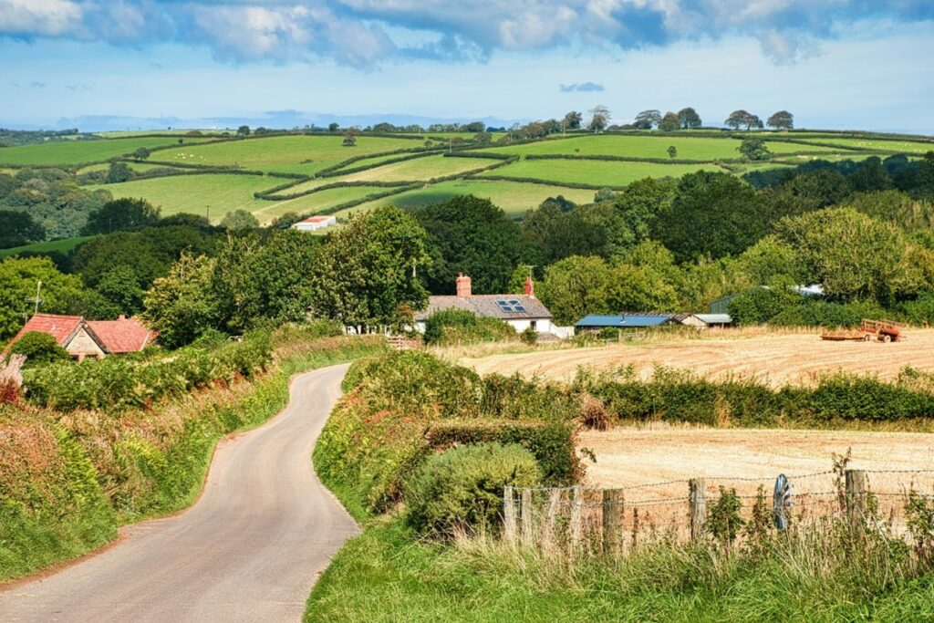 Picture of Devon lanes and cottages