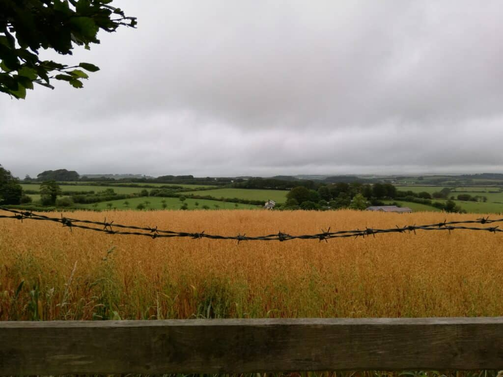 Photo of Devon fields by Emily Underworld on Unsplash