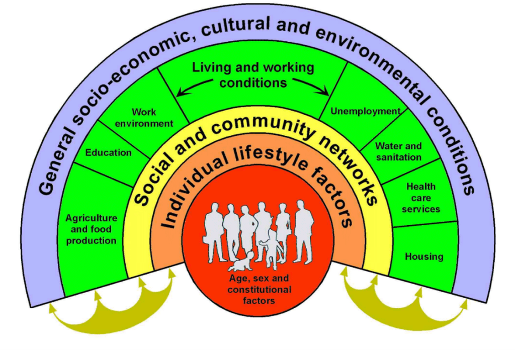 Dahlgren and Whitehead Wider Determinants of Health Diagram from 1993 adapted by University of Liverpool 2023