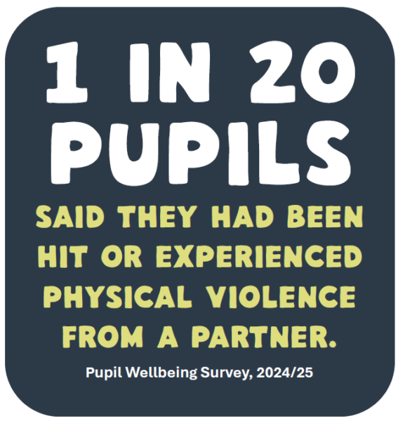 Infographic showing that one in 20 pupils said they had been hit or experienced physical violence from a partner.