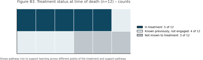 Figure B3 Treatment Status at time of death - 12 Counts, In Treatment 5 of 12, Known previously but not engaged 4 of 12, Not known to treatment 3 of 12.