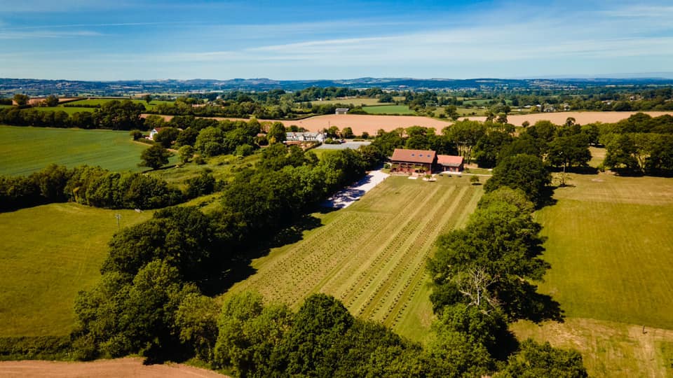 An aerial view of the vineyard and brick barn