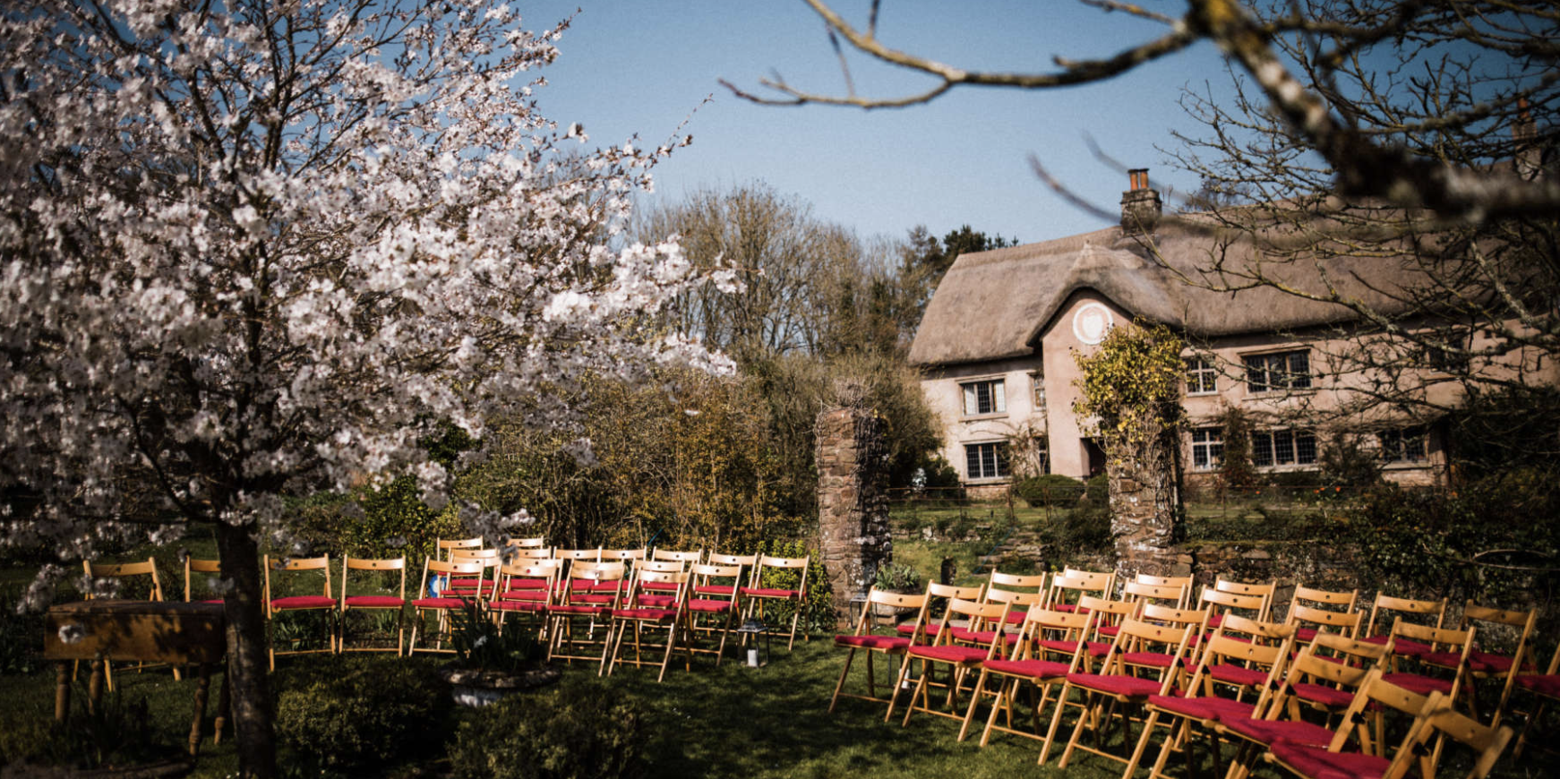 Rows of chairs arranged in a semi circle facing a blossom tree, with a large thatched building in the background