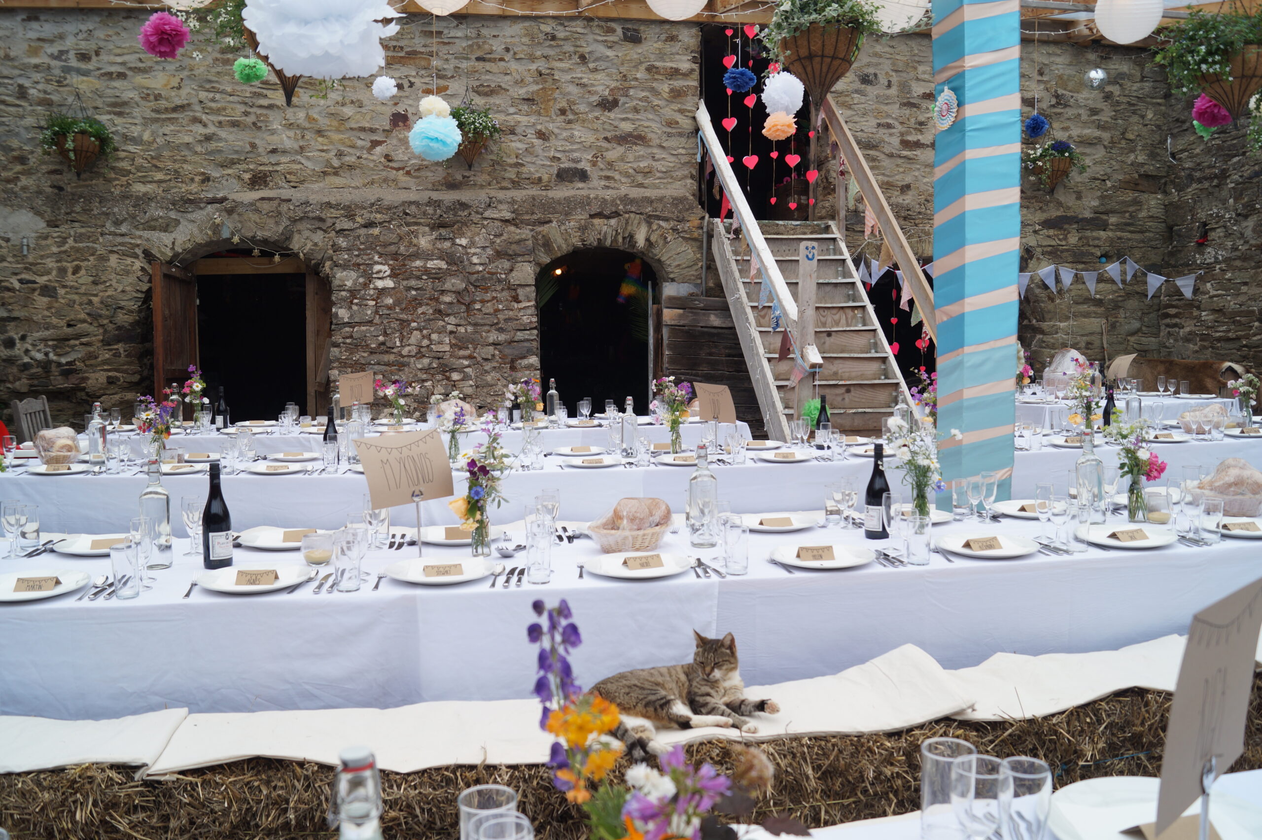 Crowborough Farm , yard set up with tables all laid up for meal, with a cat
