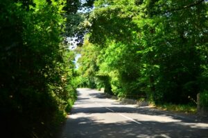 road in countryside with green trees hedges either side photo by Julian Roskilly