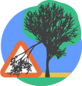 Hazardous or fallen trees