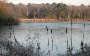 View of Stover lake in the winter.