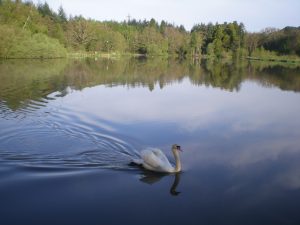 Stover Lake