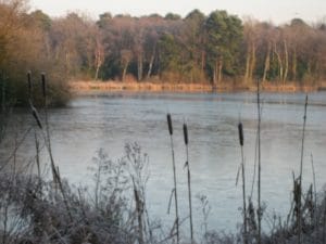 Stover lake frozen