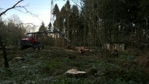 Forestry Plantation was removed for the installation of the reed bed system