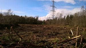 February 2018 before reed bed construction