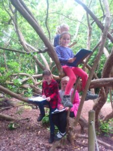 School Children on a Poetry Trail lesson