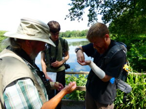 British dragonfly volunteers at Stover Country Park