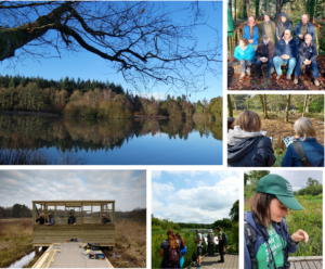 People volunteering at Stover Country Park.