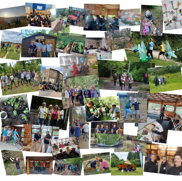 A photo collage containing a number of community engagement projects