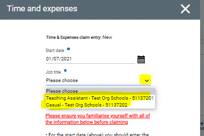 Screenshot of the time and expenses screen within iTrent