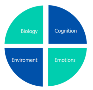 Image of pie chart showing factors that influence the development of literacy skills in children