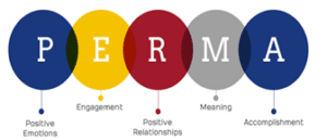 PERMA diagram