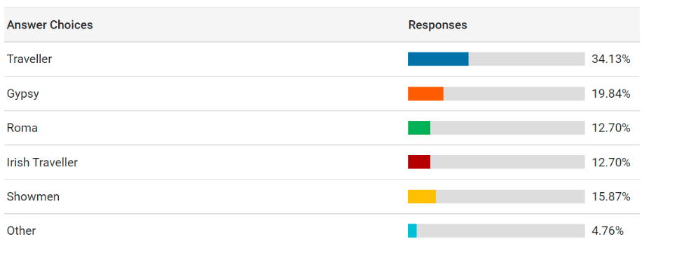 Bar graph - What ethnicity does your family identify as?