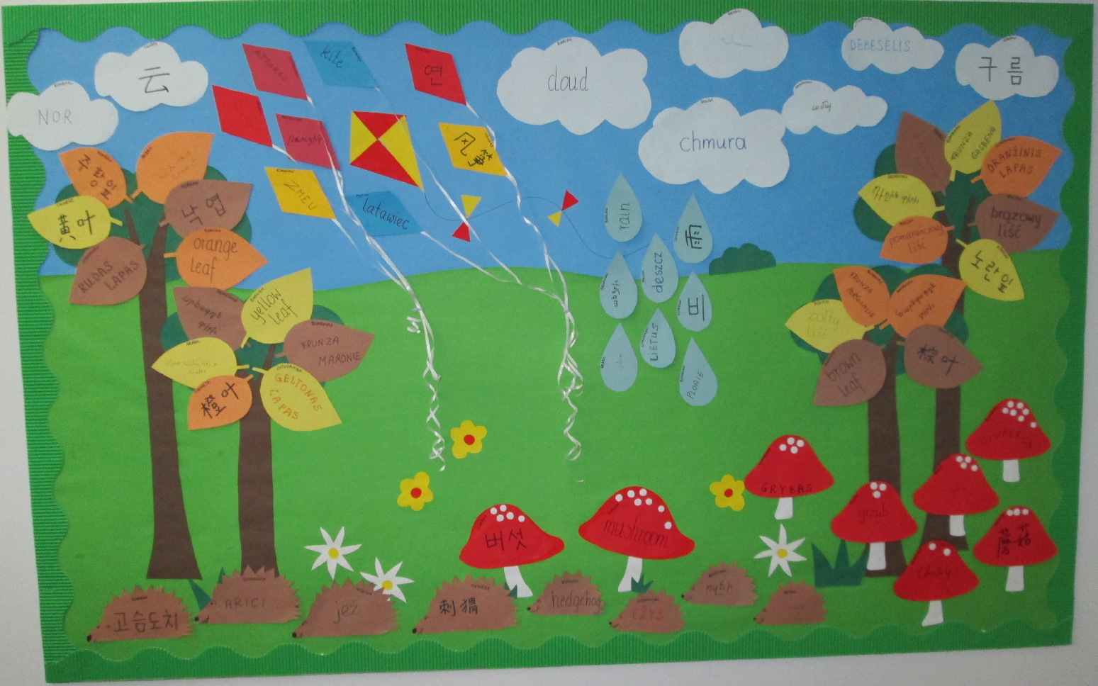 Language display
