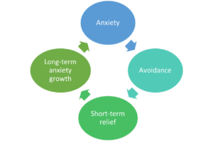 Anxiety cycle showing: anxiety - avoidance- short-term relief - long-term anxiety growth