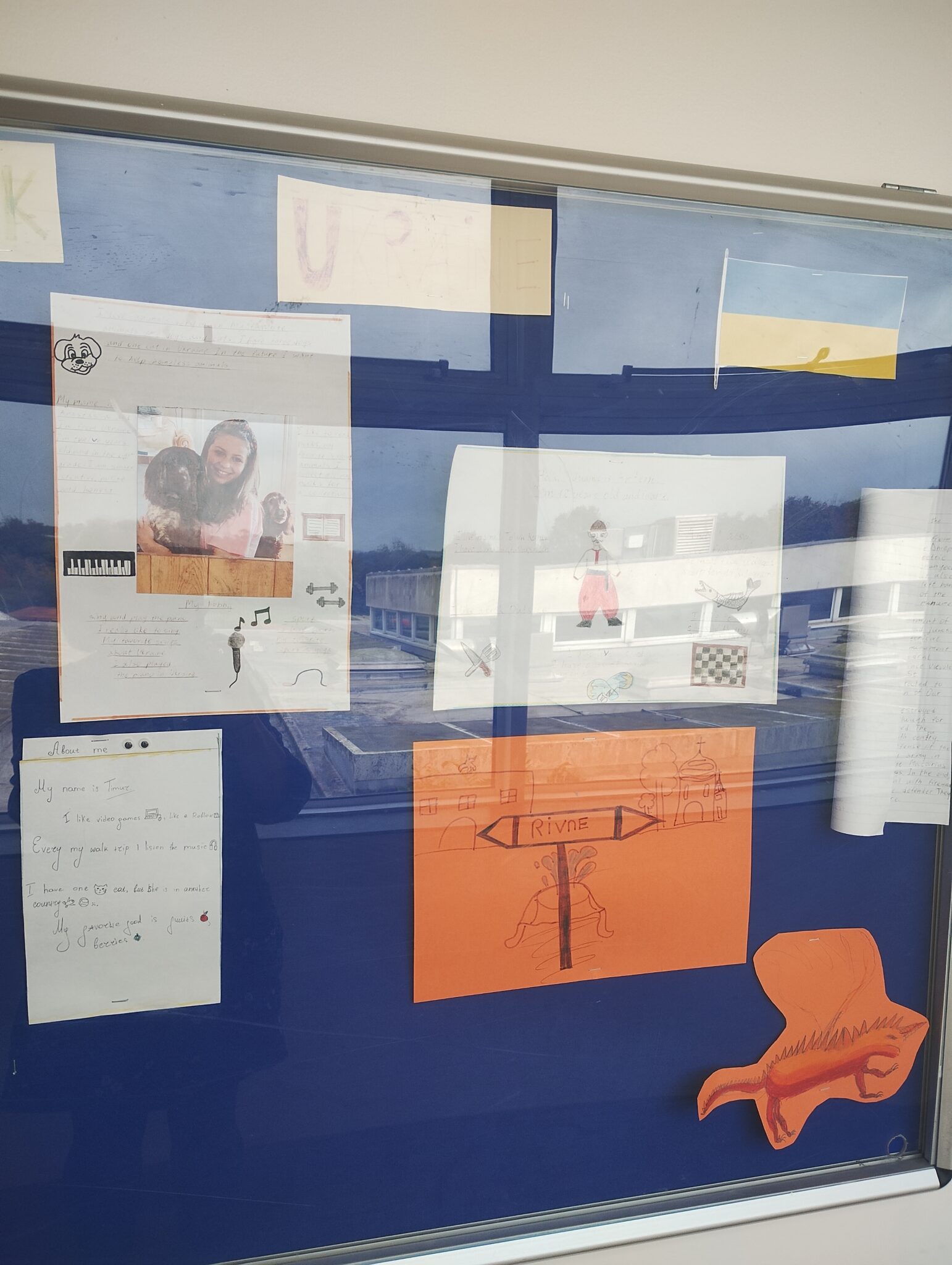 School display board
