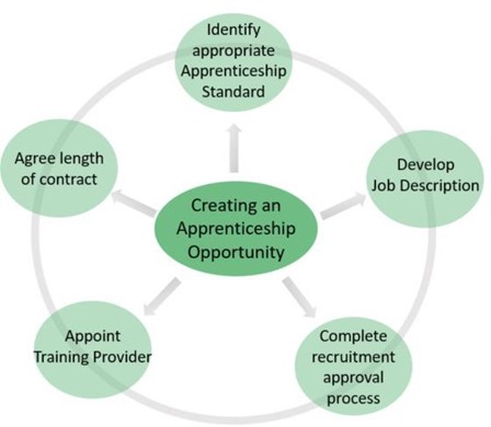 the initial stages on creating an apprenticeship opportunity flow diagram