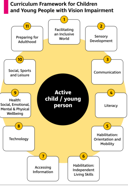 Flow diagram for curriculum framework for children and young people with vision impairment