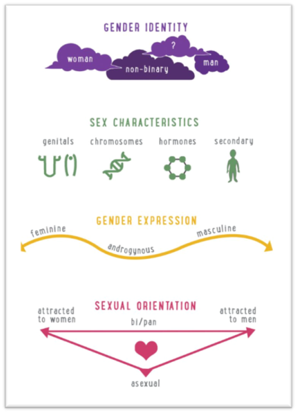 Image showing the difference between gender identity and sexual orientations