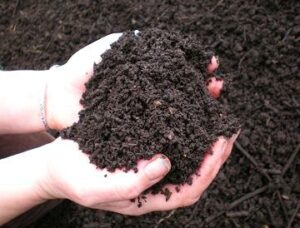 Compost being held in a person's hands