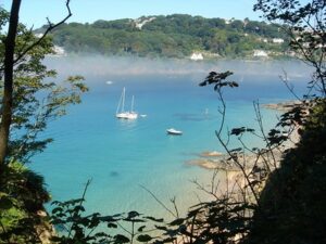 Boats in Salcombe