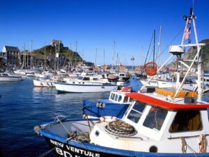 Boats in the harbour, North Devon