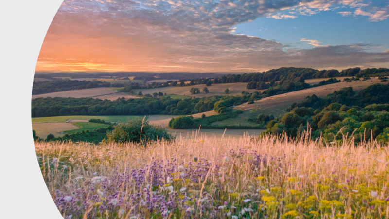 A field in Devon.