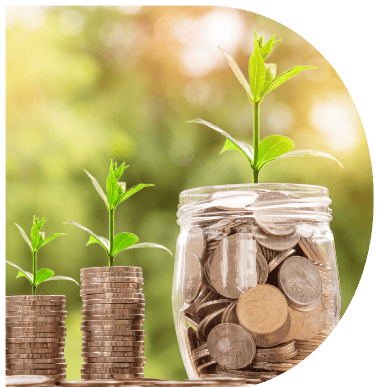 This picture shows two columns of coins, each with a small plant growing on top. The first column is small, and the second is growing taller. Finally, there is a large jar of coins with a plant growing out of the top. The picture is in the shape of the letter D.