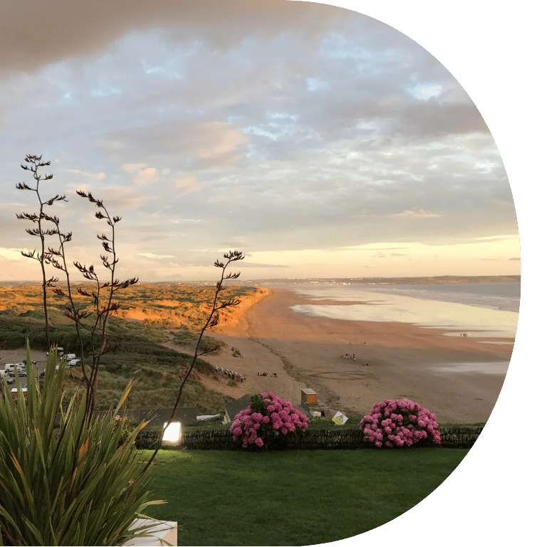 The background shows a beach at golden hour. The foreground shows a bushy plant and some pink flowers.
