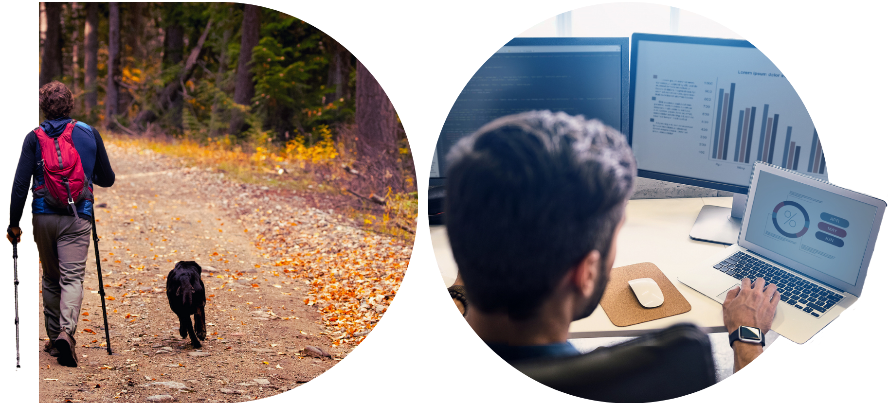 D shaped image on the left of a person walking their dog in a forest and an O shaped image of a person working on three different computer screens